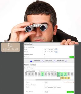 Man with binoculars looking at a webpage