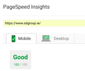 100% score for WordPress on Google Insights - Mobile